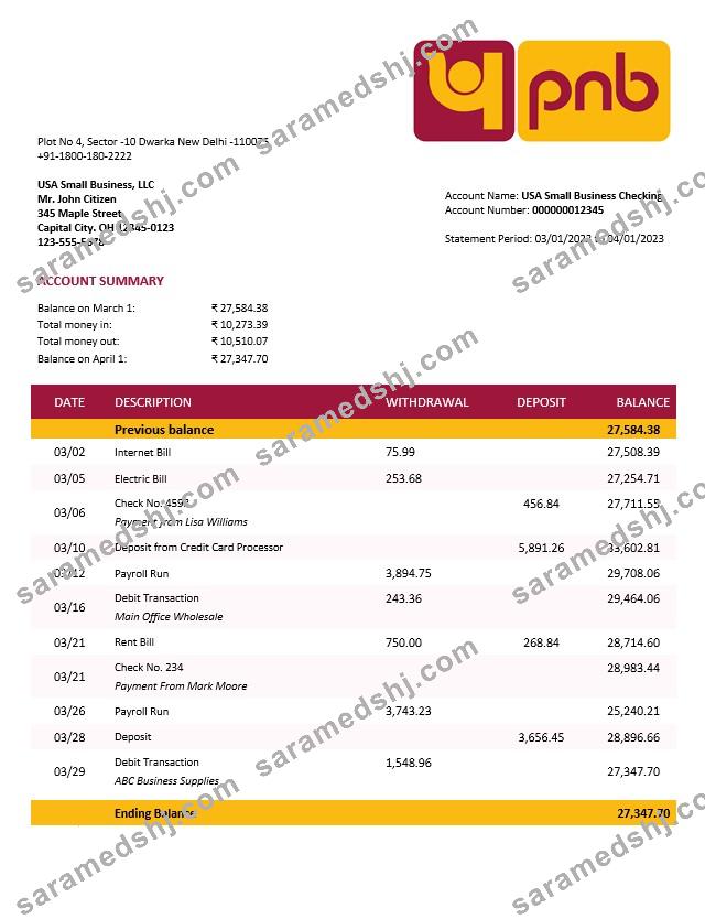 Punjab National Bank business statement Word and PDF template